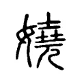 嬈 嬈