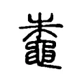 蛛 蛛